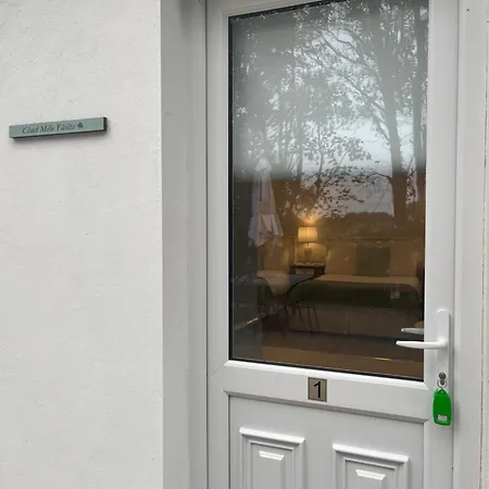 Birch Lane * Wexford